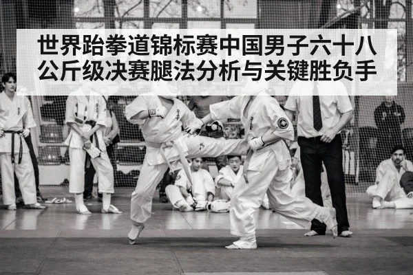 taekwondo competition